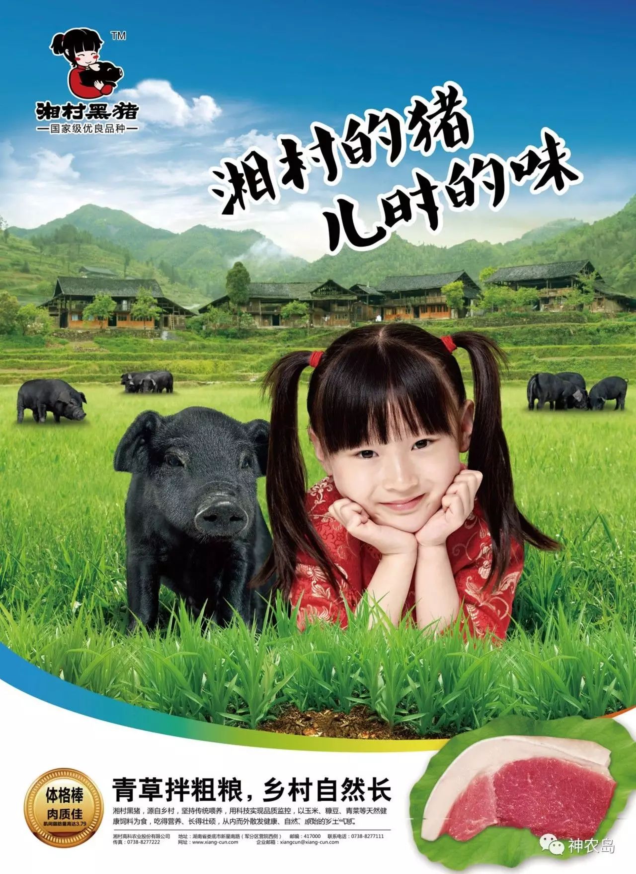 娄向鹏农业发展,娄向鹏简历