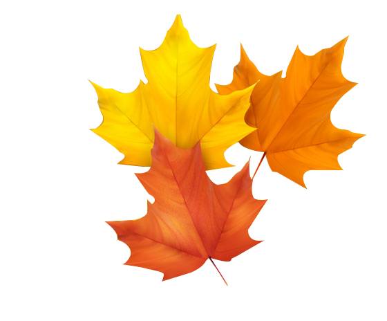 日本必买的面膜有哪些,日本购物必买清单护肤品2019