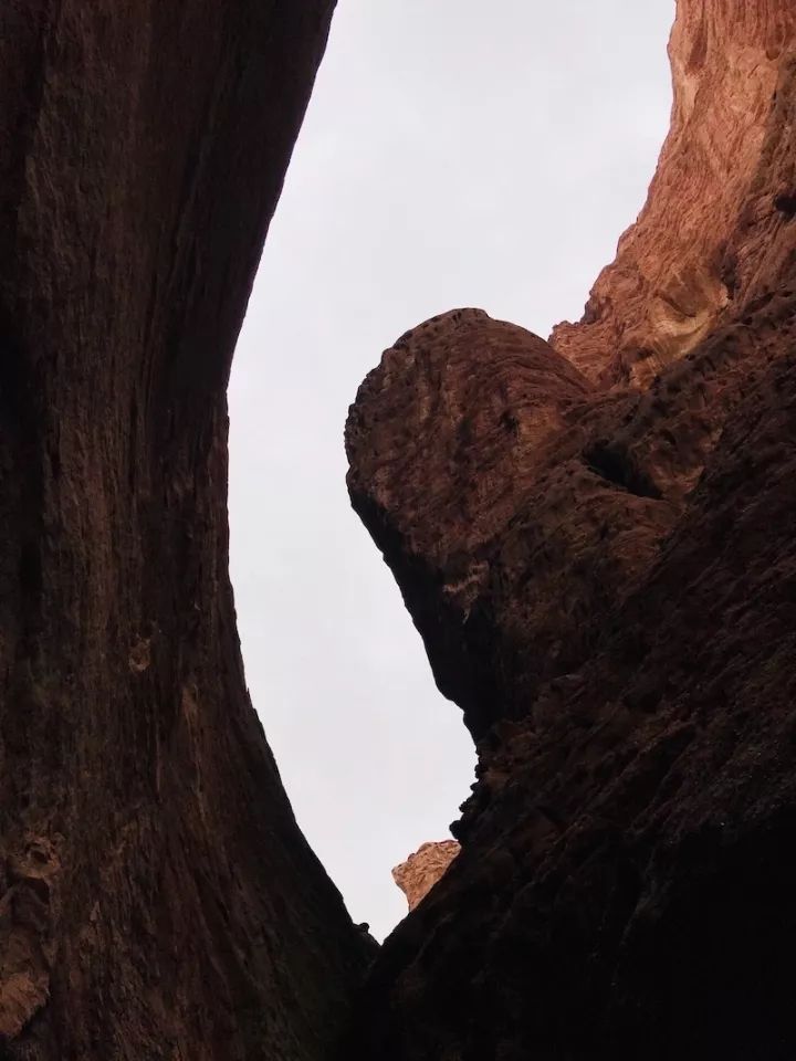 逃离阴雨缠绵的上海，说走就走的3日*疆新**胡杨游你想试试吗？｜附攻略