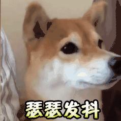 终于知道秋裤的重要性,明星告诉你秋裤正确使用法