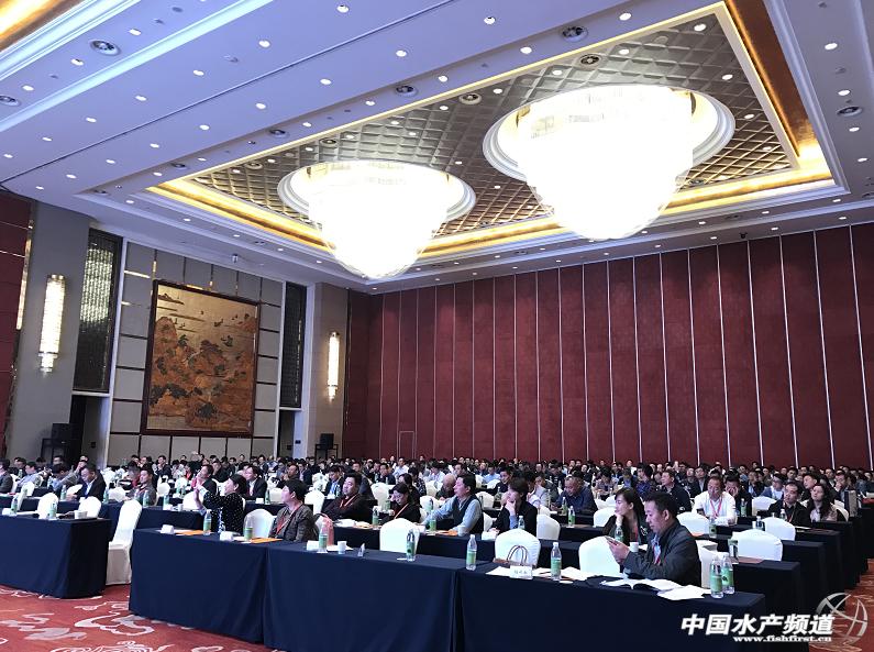 叶元土全部视频,叶元土