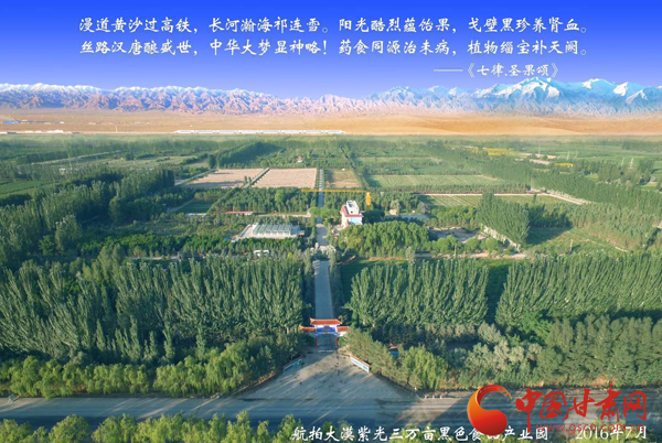 沙产业理论忠实践行者挑战荒漠的大漠之子——人物特写：治沙模范柴在军和他的大漠紫光