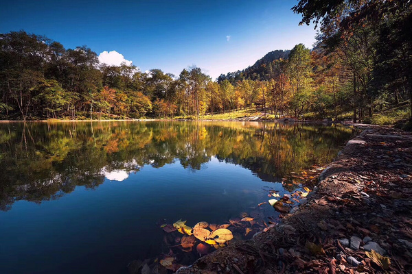 金秋彩林旅游景点,金秋彩林风景区
