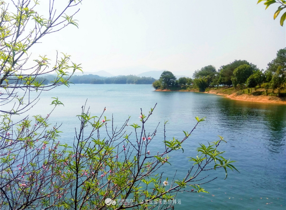 万绿湖是第几大湖,淡水万绿湖