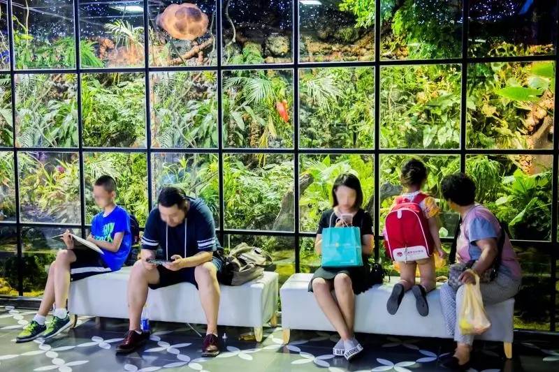 购物中心不同楼层租金关系,b1层