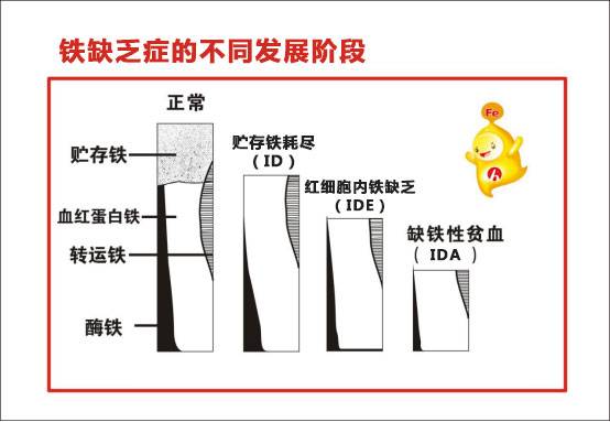 隐性饥饿有哪些,隐性饥饿怎么形成