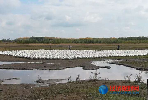 黑龙江省依安县经济开发区,黑龙江依安陶瓷产业示范基地