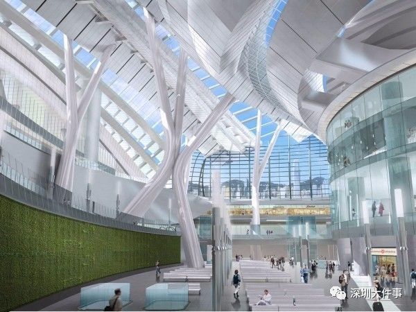 深圳到香港一天攻略费用,花最少钱走深圳到香港