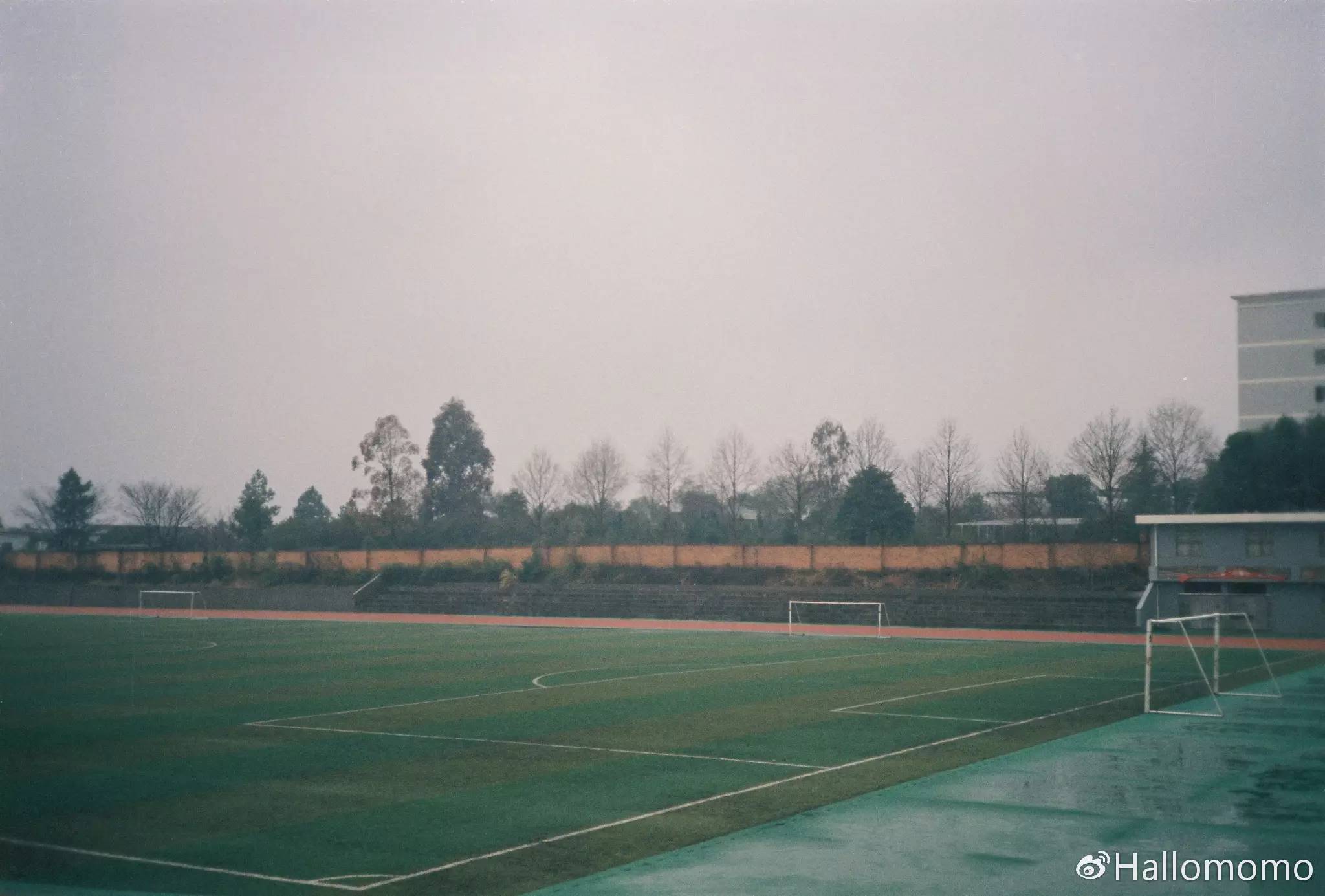 那些年我玩过的胶片机,旁轴胶片机推荐