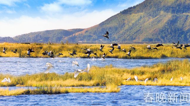 腾冲旅居康养度假区,腾冲旅游发展总体规划