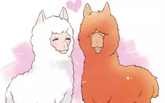 日本必买的面膜有哪些,日本购物必买清单护肤品2019