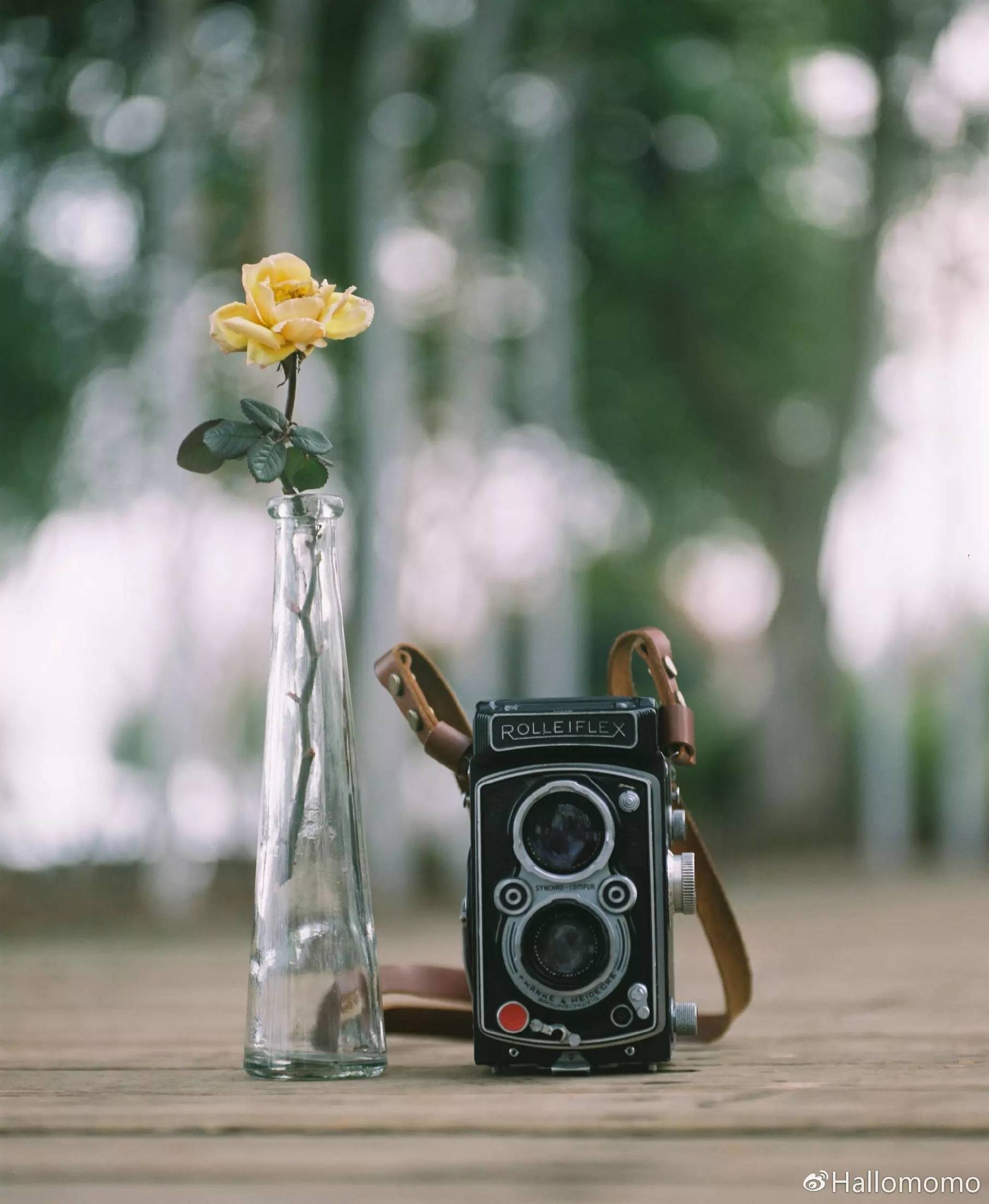 那些年我玩过的胶片机,旁轴胶片机推荐