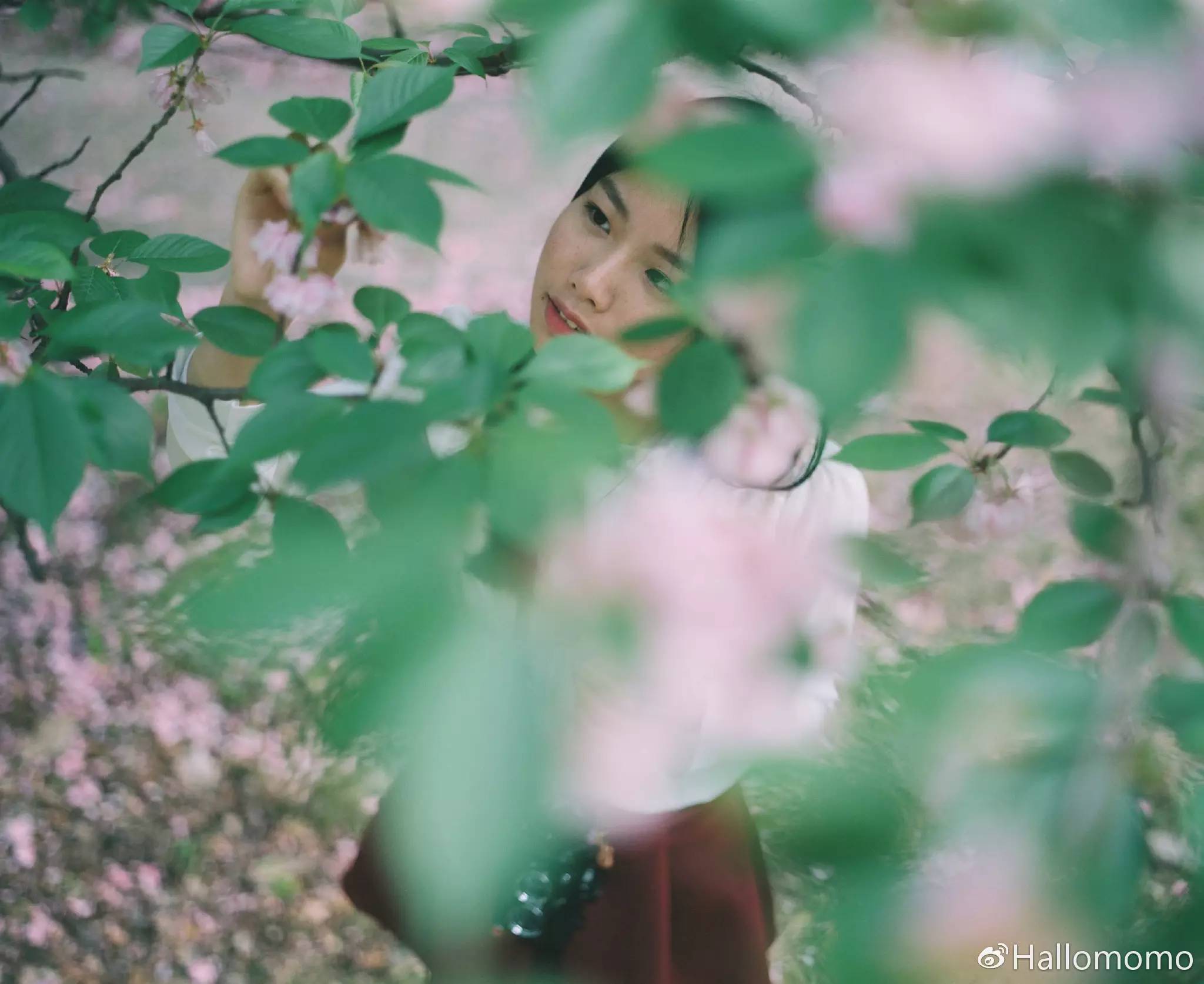 那些年我玩过的胶片机,旁轴胶片机推荐