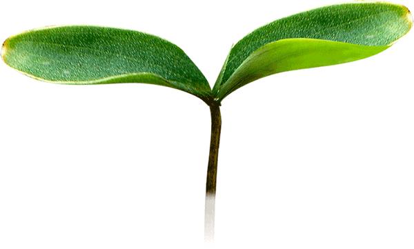 宁波的美食好吃吗,宁波有没有好吃的东西