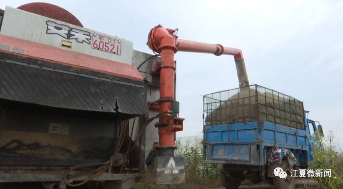 江夏新闻2017年8月,江夏新闻要闻回顾