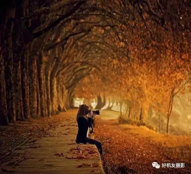 绉嬪ぉ灏嗚鏉ヤ复,绉嬪ぉ鍗冲皢鏉ヤ复