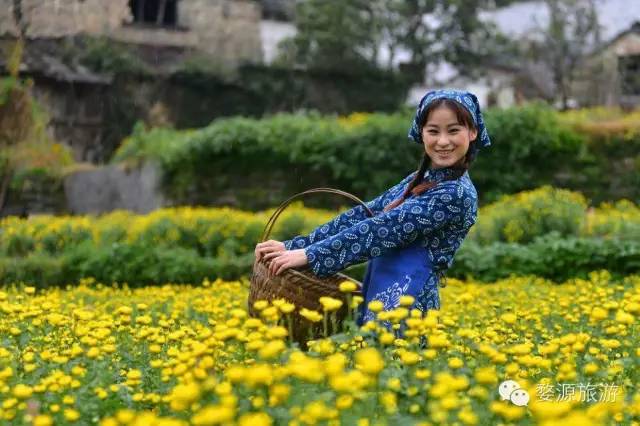 婺源举办茶文化旅游节,婺源茶文化节