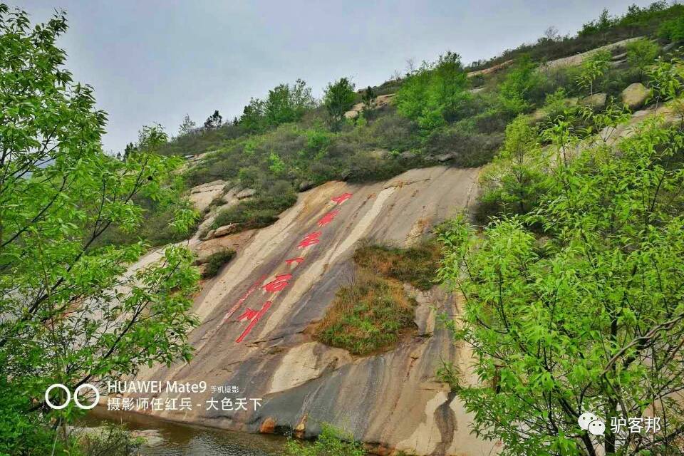 德国植物专家为何不远万里，漂洋过海亲赴72潭景区？