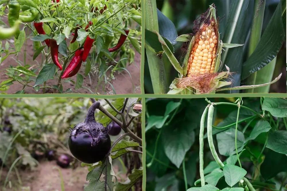 李桥北京,李桥时代艺术区