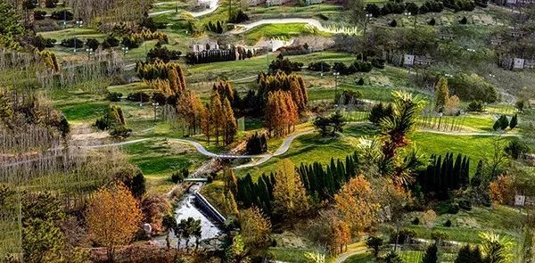 久久重阳，登高望远，大连棒棰岛景区推出敬老优惠