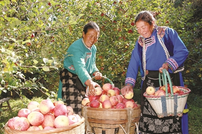 决战决胜脱贫攻坚我县多措并举,加速脱贫攻坚工作纪实