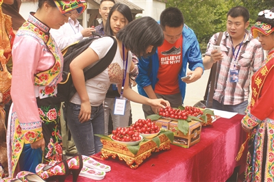 决战决胜脱贫攻坚我县多措并举,加速脱贫攻坚工作纪实