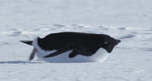 防滑秘籍,防滑小知识