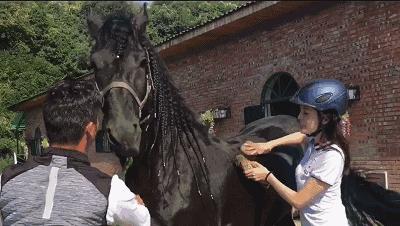 萧山最大的马场在哪里,萧山新建马场