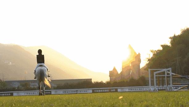 萧山最大的马场在哪里,萧山新建马场