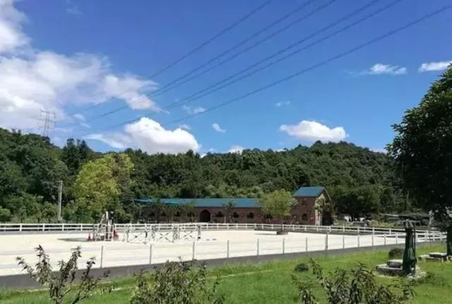 萧山最大的马场在哪里,萧山新建马场