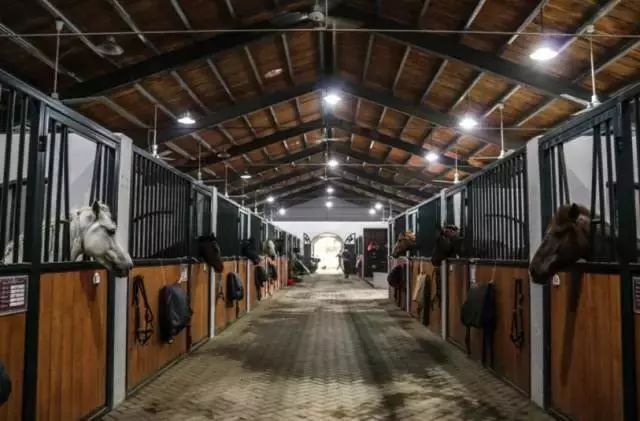 萧山最大的马场在哪里,萧山新建马场