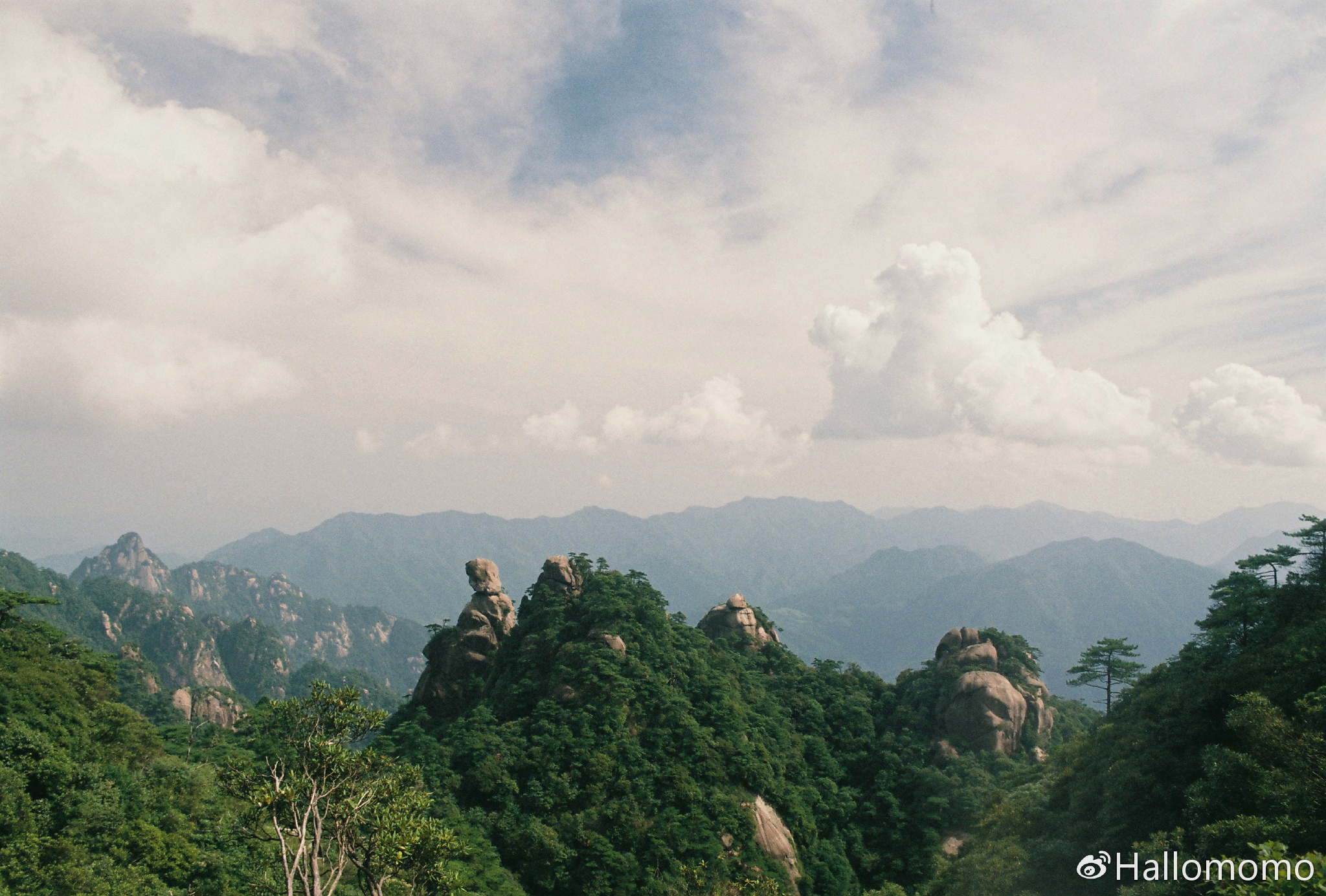 那些年我玩过的胶片机,旁轴胶片机推荐