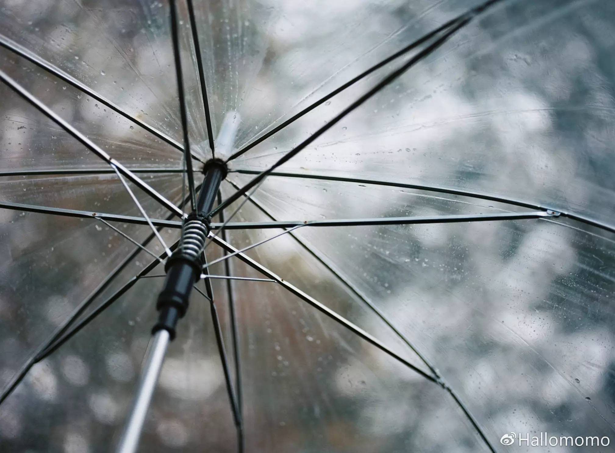 那些年我玩过的胶片机,旁轴胶片机推荐