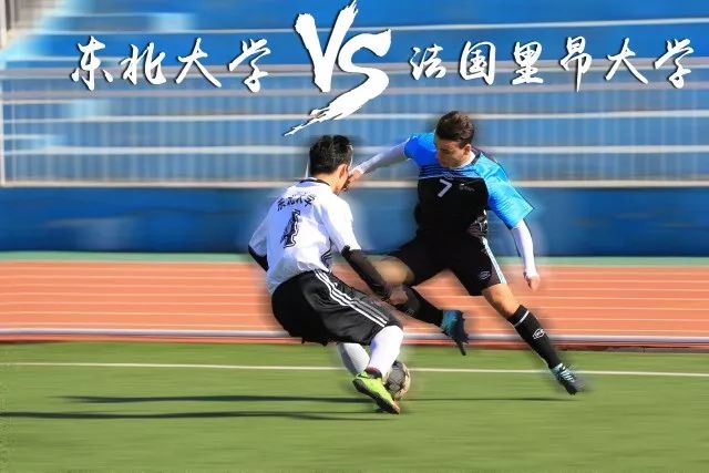 法国大学vs德国大学,东北大学vs哈工大