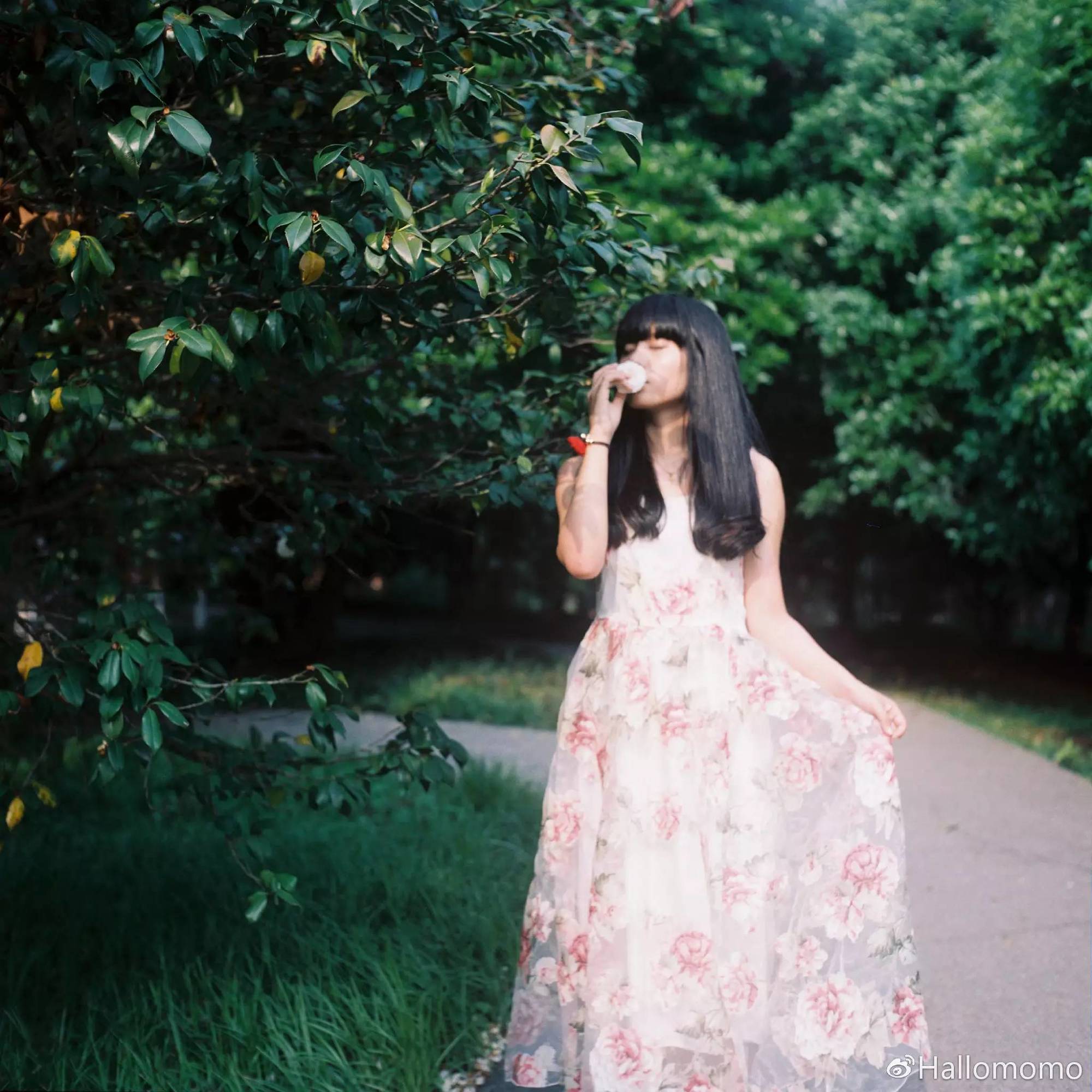 那些年我玩过的胶片机,旁轴胶片机推荐