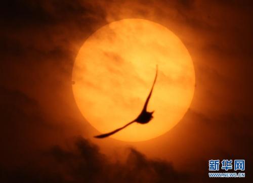 九月九重阳节关爱老人视频,九月九重阳节关爱老人图片