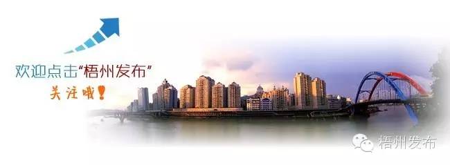 梧州足球比赛场地是在哪里,在梧州体育训练基地举办的足球赛