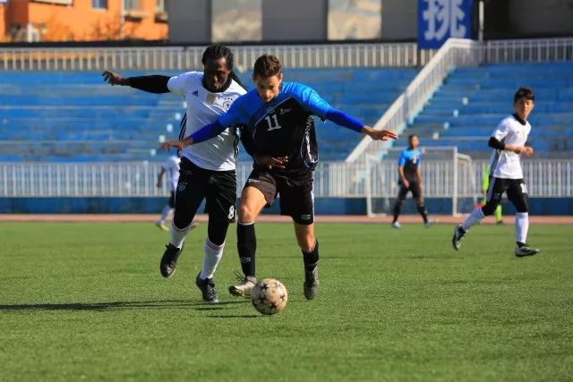 法国大学vs德国大学,东北大学vs哈工大