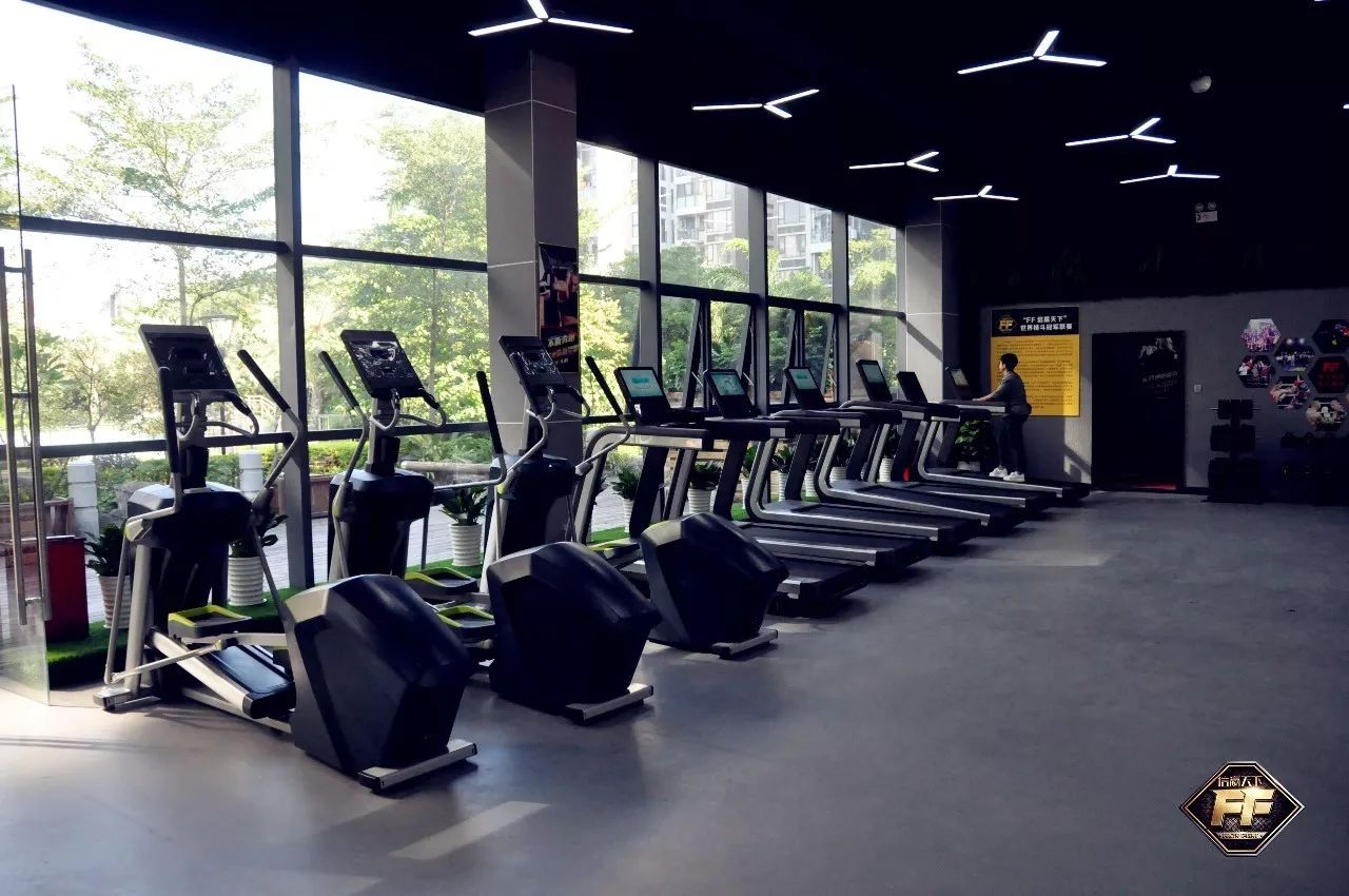 ff格斗俱乐部,ff健身搏击俱乐部