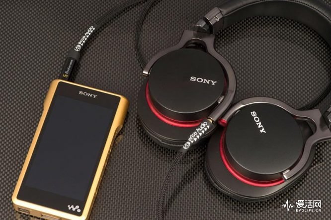 来自第三方厂商的4.4mm平衡线价格着实不便宜