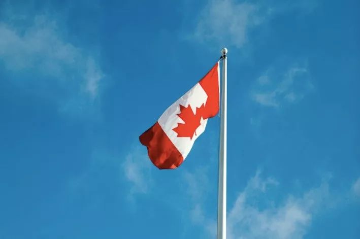 加拿大的冰球到底有多强大,加拿大为何多华人