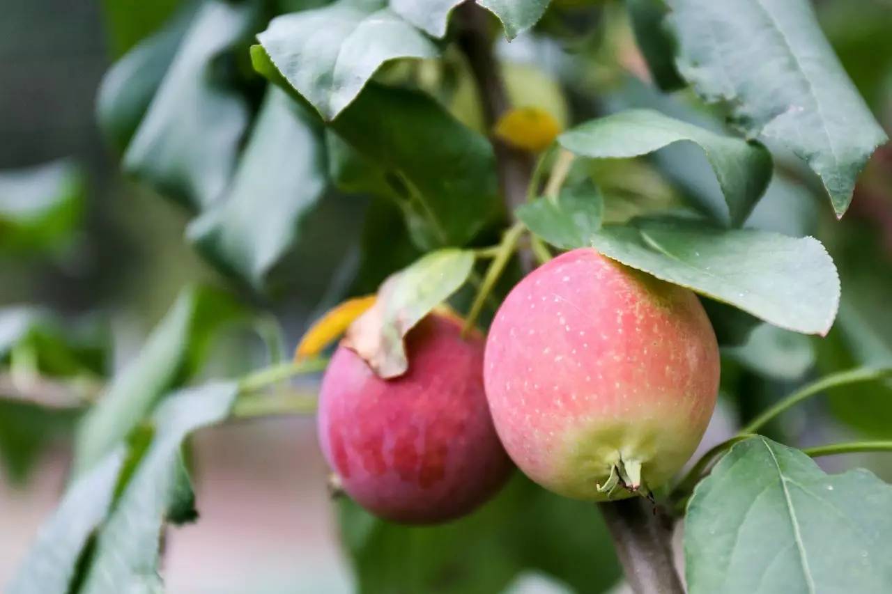 李桥北京,李桥时代艺术区