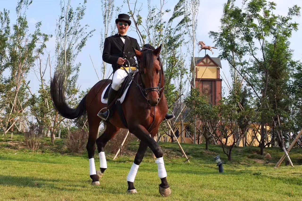 再遇一如初见：奥伦达部落·原乡的“以梦为马”