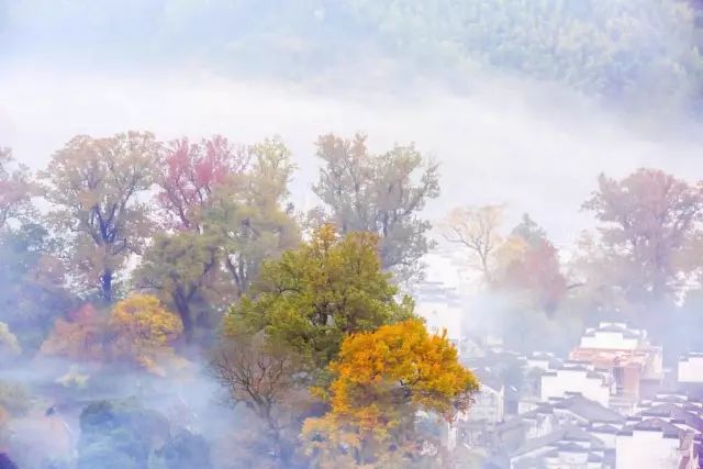 吃了酵素肚子咕咕拉肚子,吃酵素每天都拉肚子