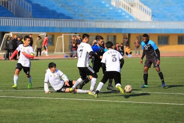 法国大学vs德国大学,东北大学vs哈工大