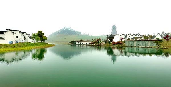 火了！蚌埠最新版使用说明书，竟然有这么多人不知道！