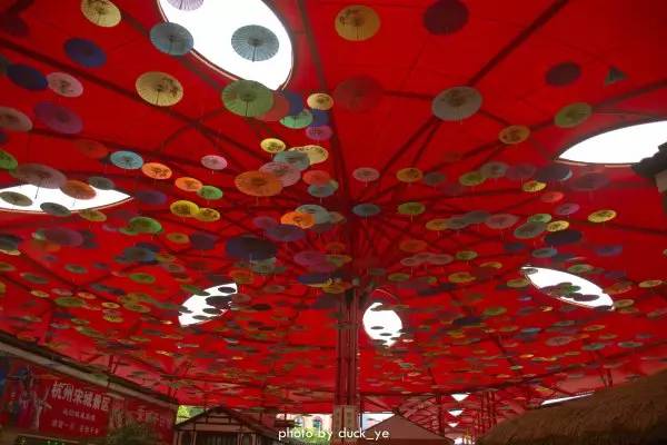 来了不想再去的地方,来了不想走再次邂逅西域风情