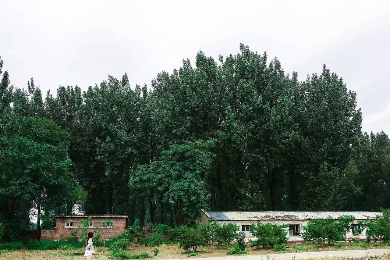 李桥北京,李桥时代艺术区