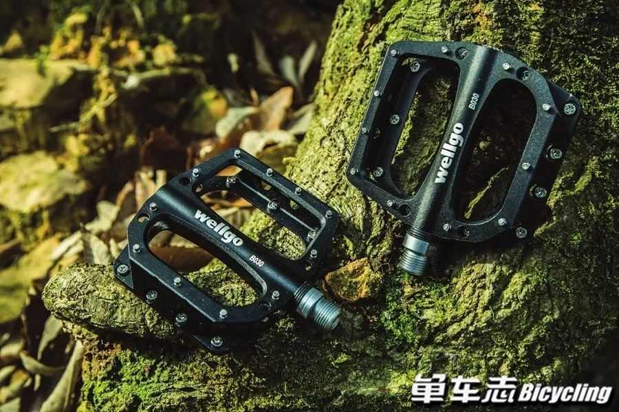 脚踏实地尽享骑趣9款速降平板脚踏推荐