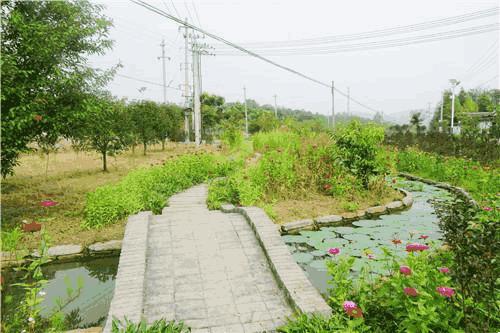 美丽乡村建设参观沟通学习,参观学习美丽乡村典型经验
